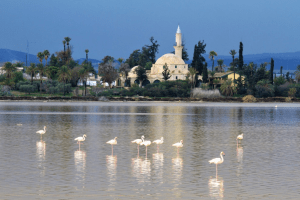 Masjid Hala Sultan Tekke di Siprus