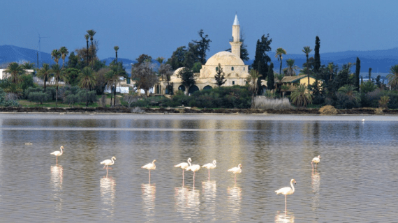 Masjid Hala Sultan Tekke di Siprus